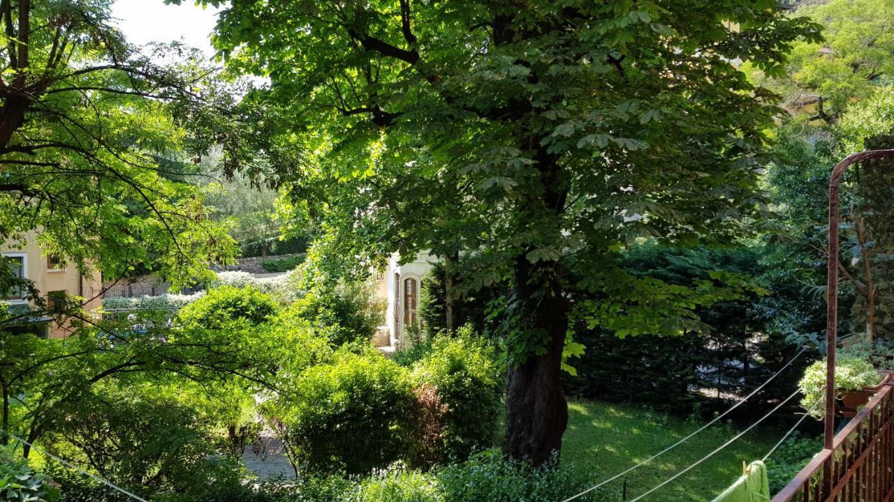 维罗纳Lo Scoiattolo住宿加早餐旅馆 外观 照片